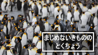 まじめないきもののとくちょう